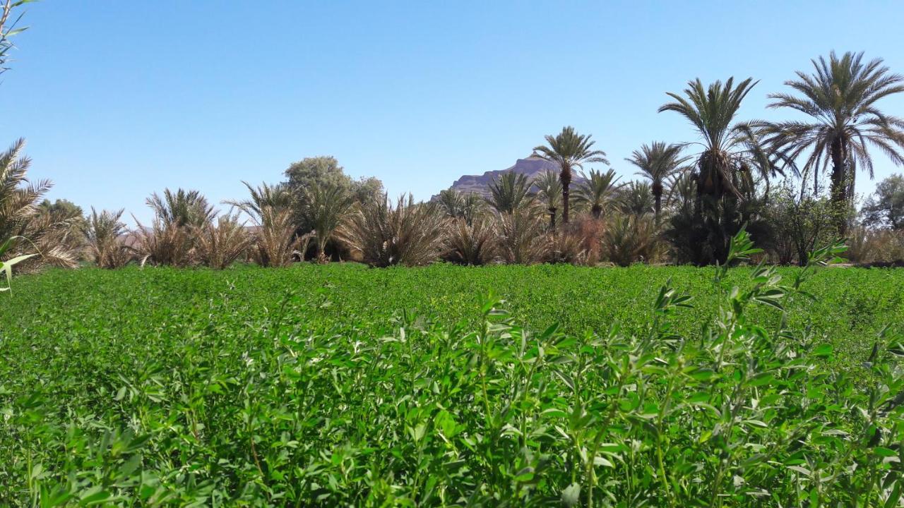 Dar Qamar Hotel Agdz Buitenkant foto